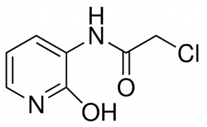 2-Chloro-N-(2-hydroxypyridin-3-yl)acetamide ADE000691-1G