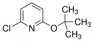 2-tert-Butoxy-6-chloropyridine 676721-10G
