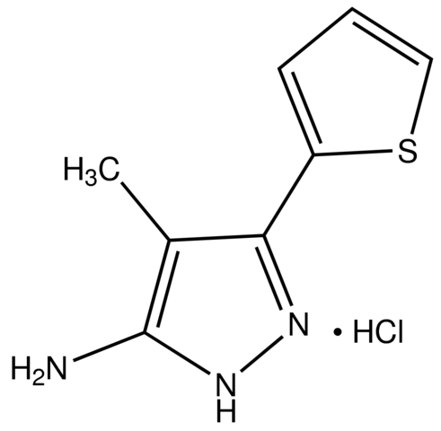 4-Methyl-3-(2-thienyl)-1H-pyrazol-5-amine hydrochloride CBR00838-1G