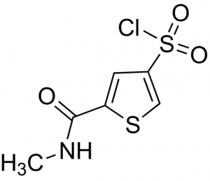 5-[(Methylamino)carbonyl]-3-thiophenesulfonyl chloride CBR01581-1G