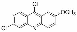 6,9-Dichloro-2-methoxyacridine 145688-25G