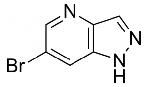 6-Bromo-1H-pyrazolo[4,3-b]pyridine BLN00048-1G