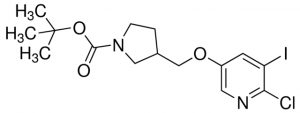 tert-Butyl 3-((6-chloro-5-iodopyridin-3-yloxy)methyl)pyrrolidine-1-carboxylate ADE000702-1G