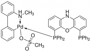 N-XantPhos Pd G4 