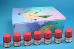 Phosphine Ligands Kit I 659940-1KT