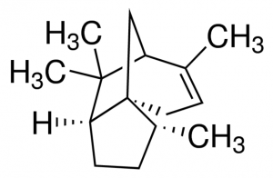()--Cedrene 