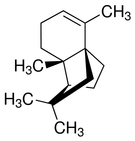 ()--Neoclovene 