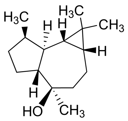 ()-Globulol 49070-100MG