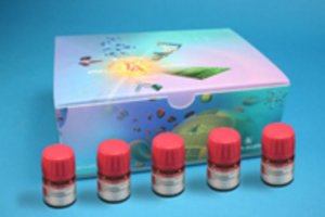Pd EnCat Kit I 666335-1KT