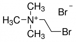 (2-Bromoethyl)trimethylammonium bromide 