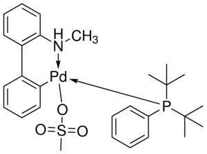 (tBu)2PPh Pd G4 