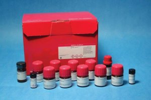 Buchwald Ligands Kit III 698903-1KT