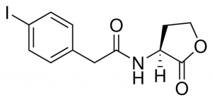 4-iodo-N-[(3S)-tetrahydro-2-oxo-3-furanyl]-Benzeneacetamide 804339-10MG