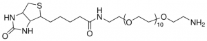 Biotin-dPEG11-NH2 