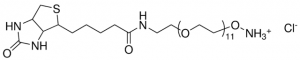 Biotin-dPEG11-oxyamine HCl 