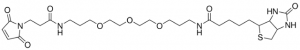 Biotin-dPEG3-MAL QBD10201-50MG