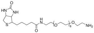 Biotin-dPEG7-NH2 
