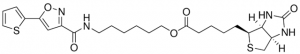 Biotinylated isoxazole 900572-1MG