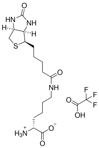 Biotinylated-D-lysine TFA salt 900751-10MG