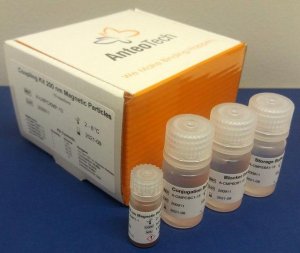 Coupling Kit For 200nm Magnetic Particles A-LNPCKMP-10RXN