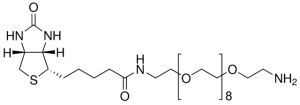 O-(2-Aminoethyl)-O-[2-(biotinylamino)ethyl]octaethylene glycol 689882-100MG