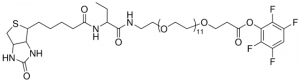 TFP-dPEG12-biotinidase resistant biotin 
