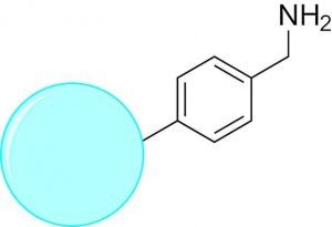 TurboBeads Amine 