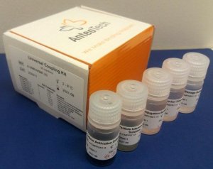 Universal Coupling Kit A-VMPAKMP-50RXN