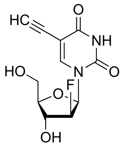 (2S)-2-Deoxy-2-fluoro-5-ethynyluridine, (F-ara-EdU) T511293-5MG
