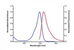 Azide-fluor 488 