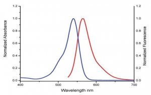 Dibenzocyclooctyne-PEG4-Fluor 545 