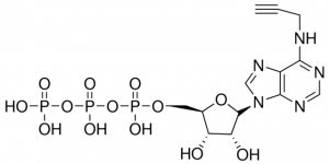 N6-Propargyl-ATP sodium salt 808490-1MG