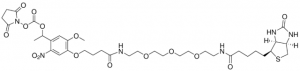 PC biotin-PEG3-NHS ester 