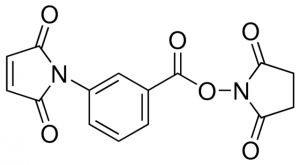 3-Maleimidobenzoic acid N-hydroxysuccinimide ester 