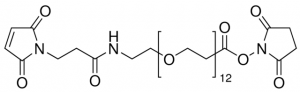 Maleimide-PEG12-succinimidyl ester 
