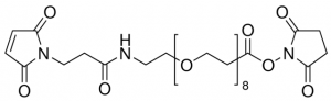 Maleimide-PEG8-succinimidyl ester 