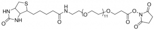 NHS-dPEG12-biotin 