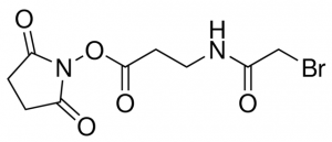 SBAP (succinimidyl 3-(bromoacetamido)propionate) 803650-50MG