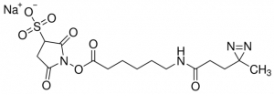 Sulfo-LC-SDA (Sulfo-NHS-LC-Diazirine) (sulfosuccinimidyl 6-(4,4-azipentanamido)hexanoate) 803359-50MG