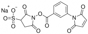 Sulfo-MBS (m-maleimidobenzoyl-N-hydroxysulfosuccinimide ester) 803227-50MG