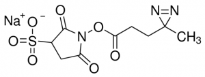 Sulfo-SDA (Sulfo-NHS-Diazirine) (sulfosuccinimidyl 4,4-azipentanoate) 803340-50MG