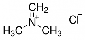 N,N-Dimethylmethyleneiminium chloride 