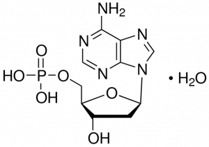 2-Deoxyadenosine 5-monophosphate monohydrate 