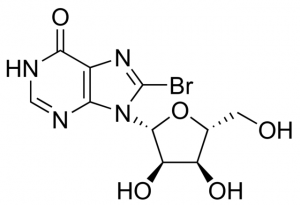 8-Bromoinosine 