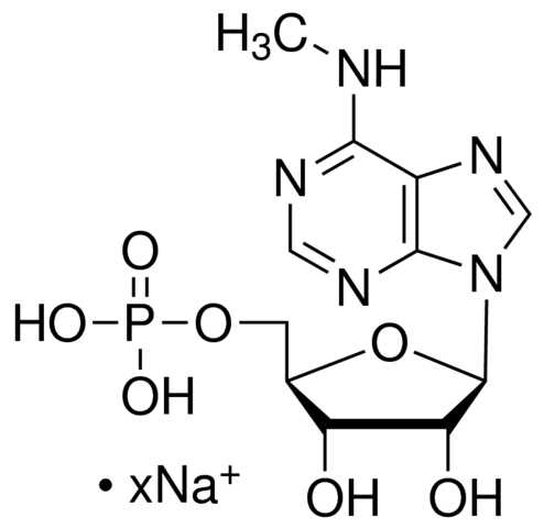 N6-Methyladenosine 5-monophosphate sodium salt 