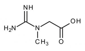 Creatine monohydrate 