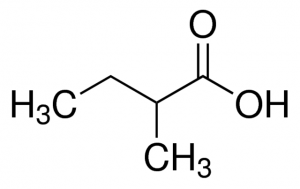 ()-2-Methylbutyric acid 