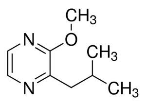2-Isobutyl-3-methoxypyrazine 