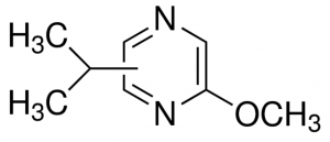 2-Methoxy-3(5 or 6)-isopropylpyrazine 