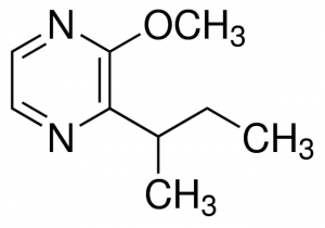 2-Methoxy-3-(1-methylpropyl)pyrazine 